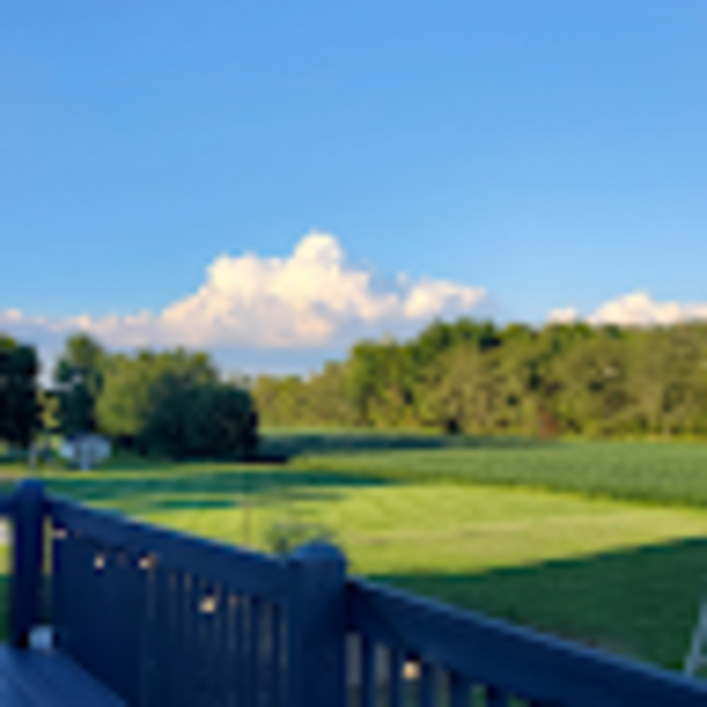 Meet your Posher, Ann